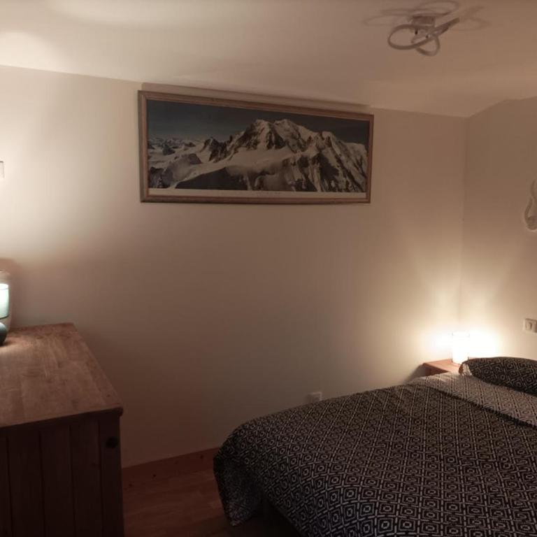 Joli Appart Terrasse et jardinet - Chalet 1 Chambre - 7