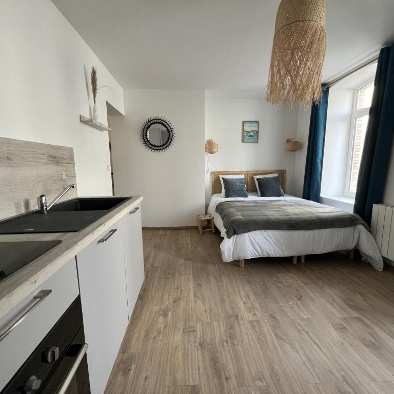 Esprit Maritime - 2p centre-ville, Place Dalton - Studio Lit Queen-Size - 4