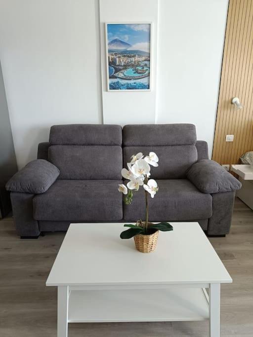 Estudio GIRASOL - Apartamento de 1 dormitorio - 10