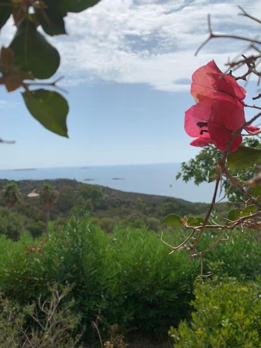 Maison Corallo splendide vue mer - Casa con 3 Camere da Letto - 33