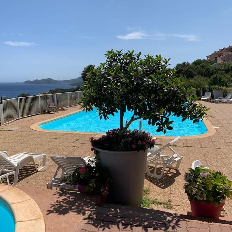 Maison Corallo splendide vue mer - Casa con 3 Camere da Letto - 54