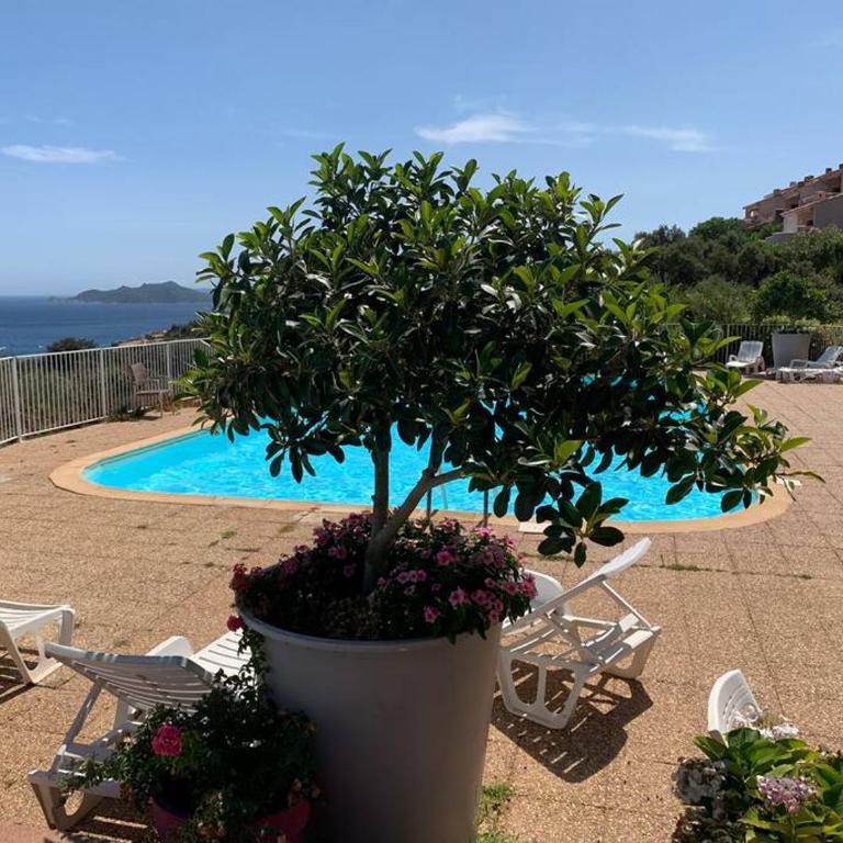 Maison Corallo splendide vue mer - Casa con 3 Camere da Letto - 59