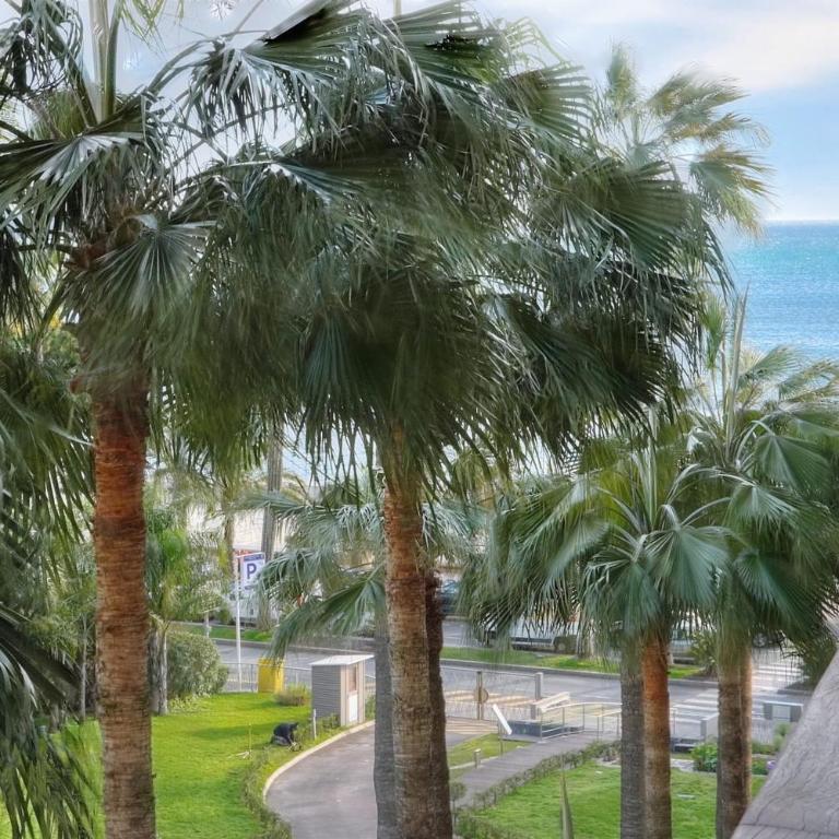 REF 1908 - Cannes Croisette - Apartment for rent - Apartment - 6