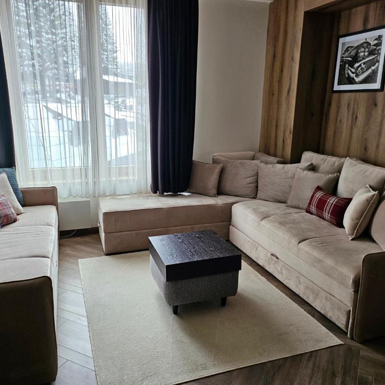 Kopaonik Woodside Hotel SKI - SPA - Apartman sa 1 Spavaćom Sobom - 8