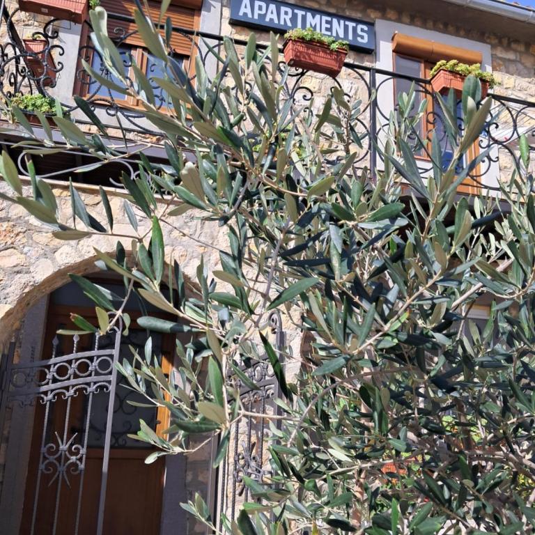 Apartments Antigona 2 Old Town Ulcinj - One-Bedroom Apartment - 10
