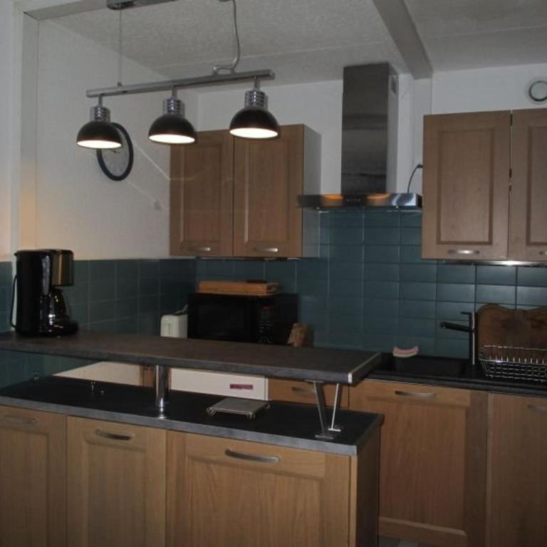 Studio 4 pers, balcon sud, parking, face pistes - Studio - 1