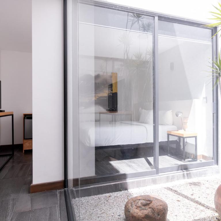 Urban Puebla by Grupo Amber - Suite Estándar - 5