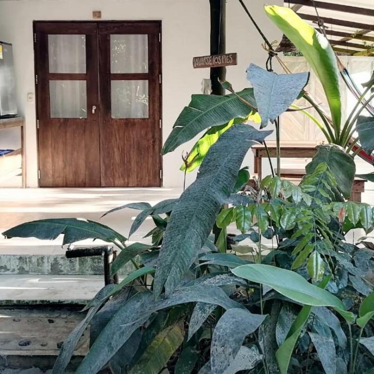 Namaste cabaña 02 - One-Bedroom House - 6