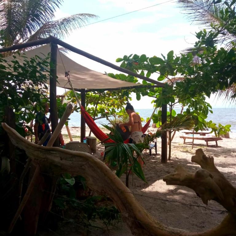 Namaste cabaña 02 - One-Bedroom House - 27