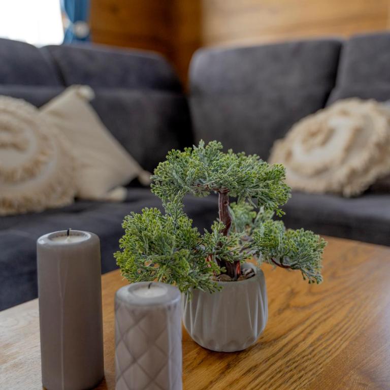 Apartman Rustic 85m2 - Two-Bedroom Apartment - 56