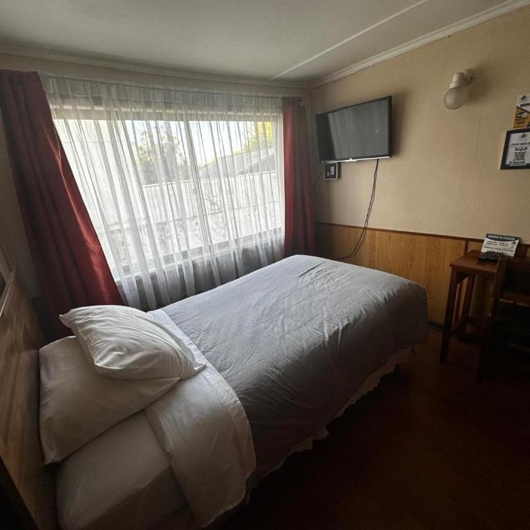 Hostal Sevilla Temuco - Single Room with Private Bathroom - 3