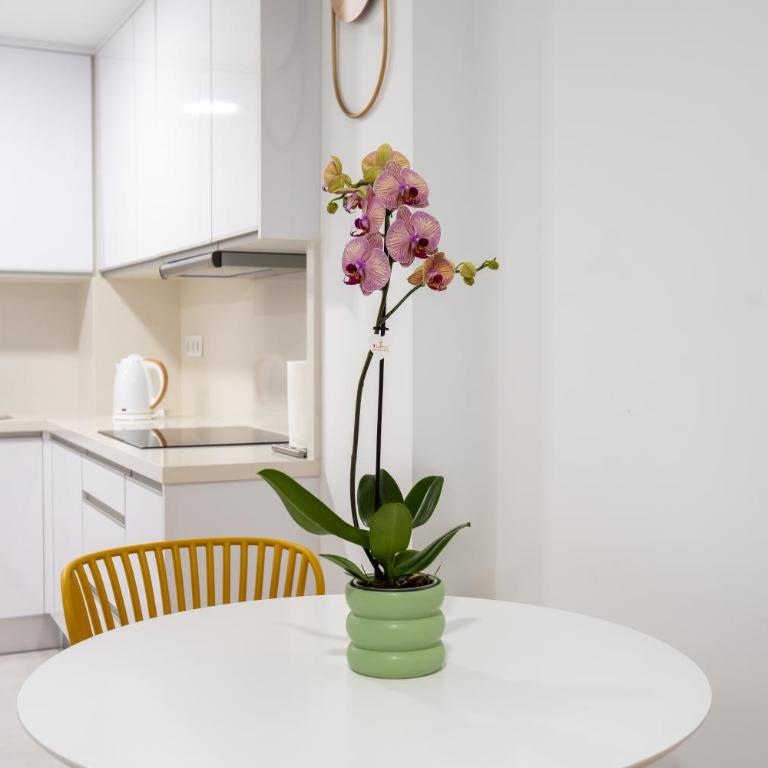Las Canteras Beach at Marina 19 - Apartamento de 1 dormitorio - 14