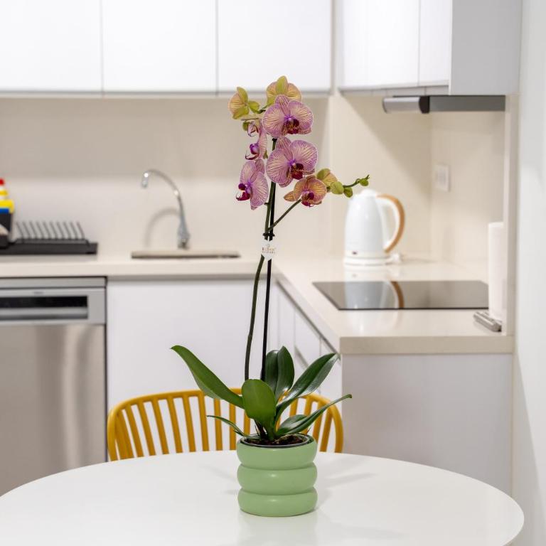 Las Canteras Beach at Marina 19 - Apartamento de 1 dormitorio - 39