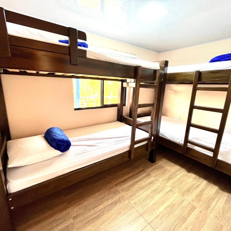 Villa Camila alojamiento rural - Casa de 8 dormitorios - 9