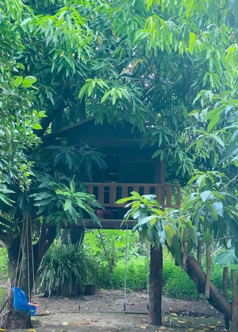 Los Mangales - Two-Bedroom Apartment - 9