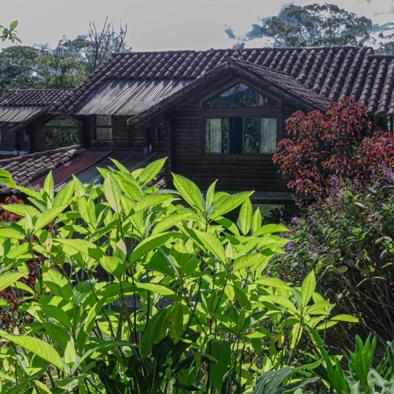 Finca Palo Alto - Villa - 3