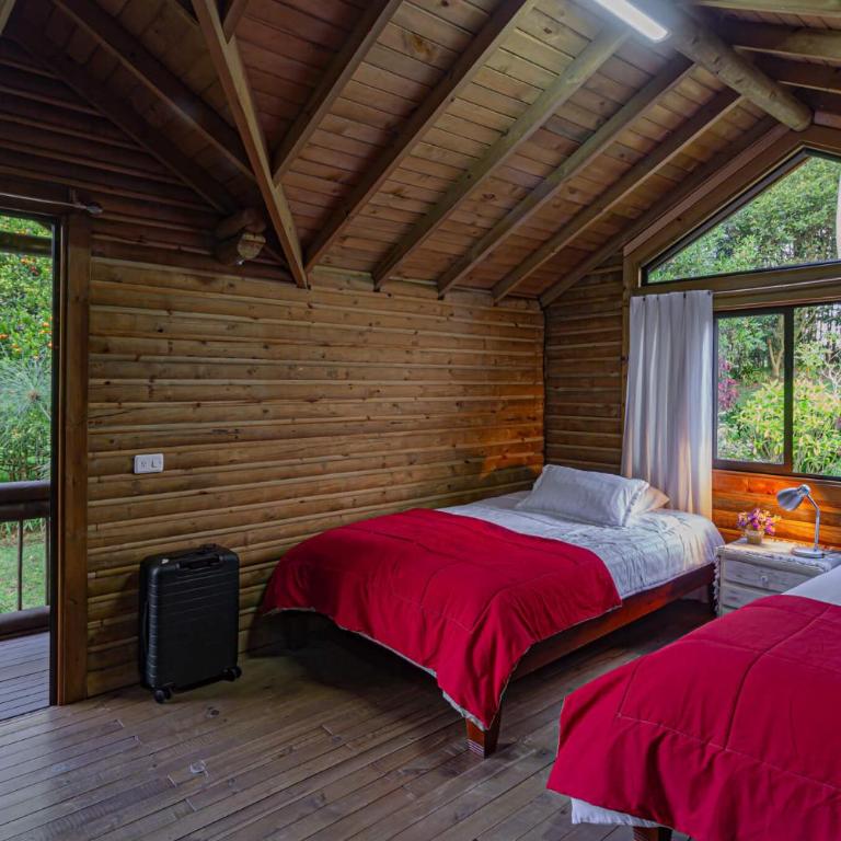 Finca Palo Alto - Villa - 15