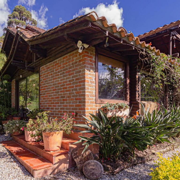 Finca Palo Alto - Villa - 36