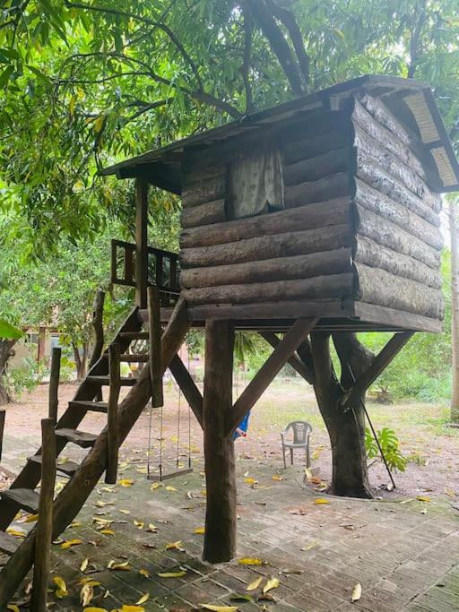 Los Mangales - Apartamento de 2 dormitorios - 6