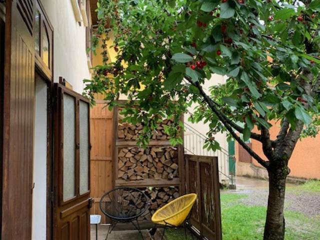 Charmant appartement sur cour, Le Cerisier - One-Bedroom Apartment - 33