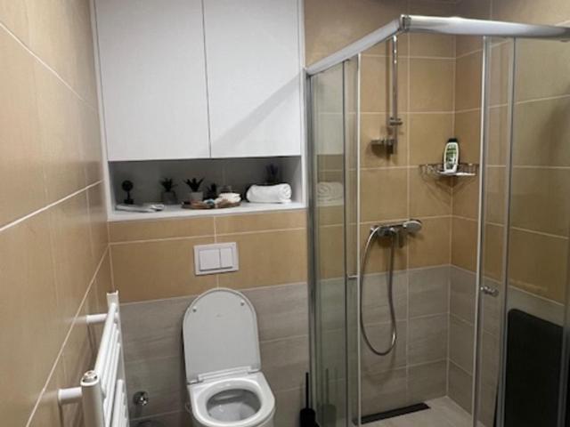 Apartmani VinVucko Jahorina u sklopu aparthotela Vucko privatni apartmani - Apartment - 30