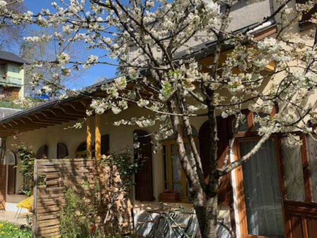 Charmant appartement sur cour, Le Cerisier - One-Bedroom Apartment - 27