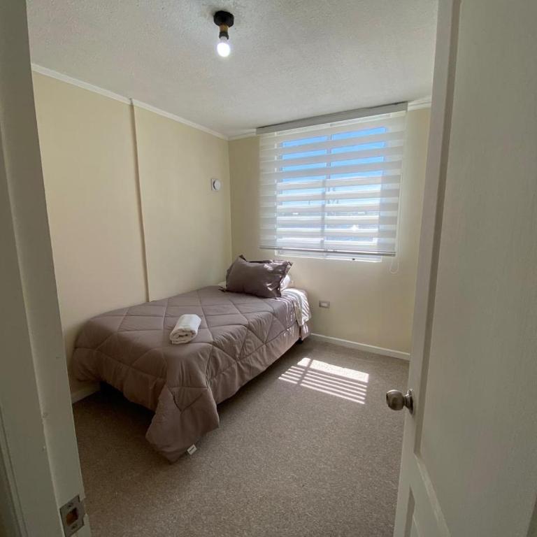 Apartamento doña Elisa - Apartamento de 3 dormitorios - 22
