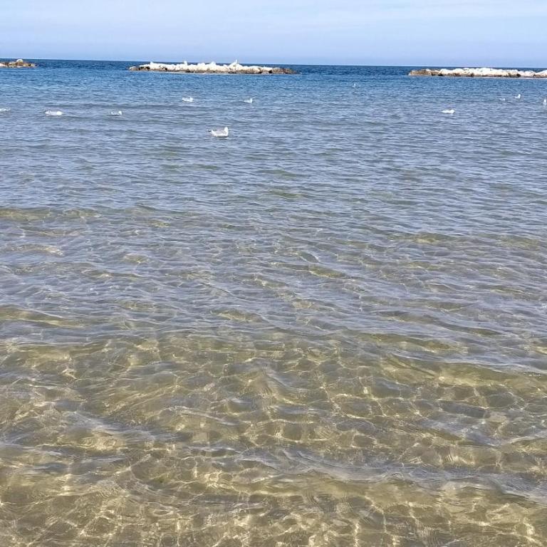 Le Dune 200m dal mare parcheggio gratis AC vicino alla Fiera di Rimini - One-Bedroom Apartment - 10