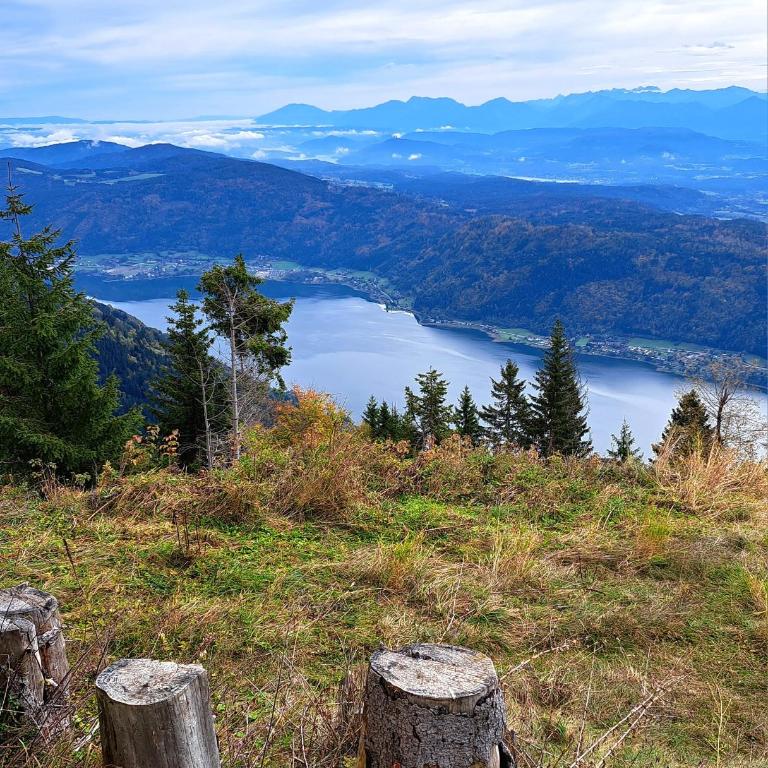 Gerlitzen Berg- und Seenurlaub - Appartement 1 Chambre - 34