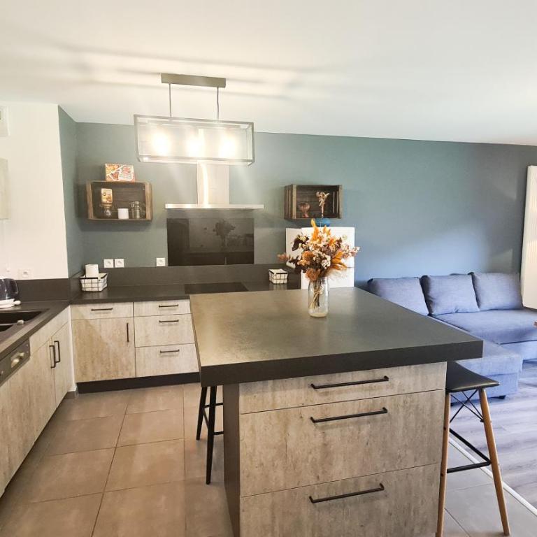 Appt Le Borgeal - rez de jardin, au calme - Appartement 1 Chambre - 15