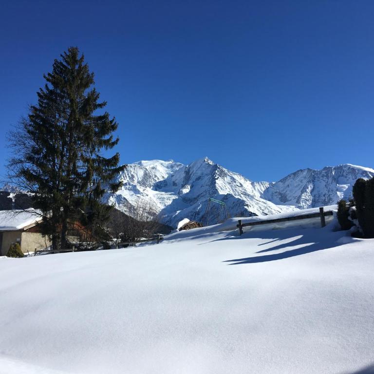 Marie Mont Blanc vue Mont Blanc - Appartement 1 Chambre - 17