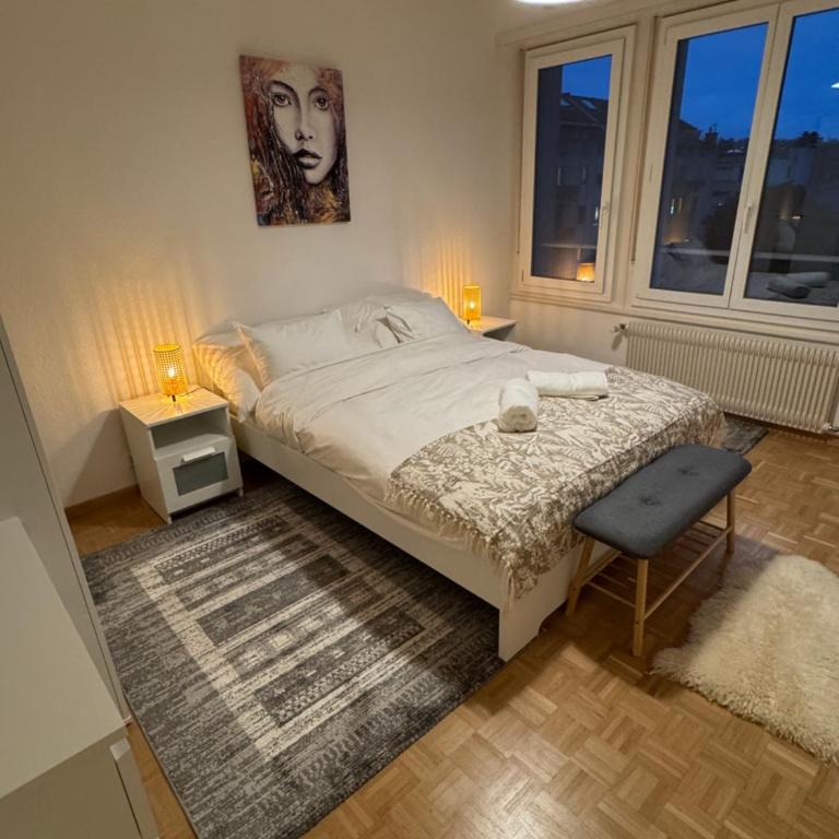 Amazing location Geneva , Eauv-Vives - Appartement 2 Chambres - 11