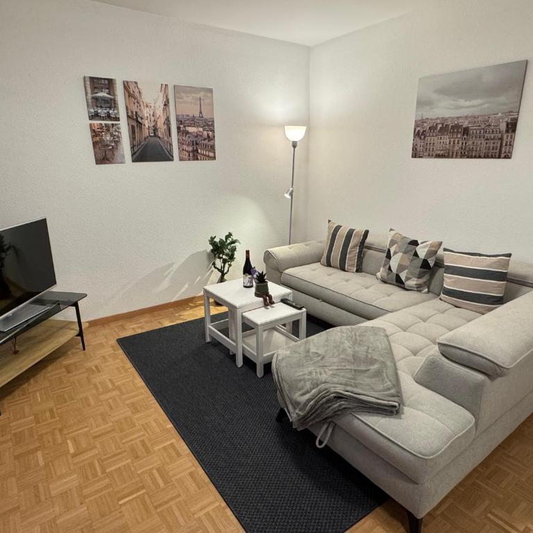 Amazing location Geneva , Eauv-Vives - Appartement 2 Chambres - 1