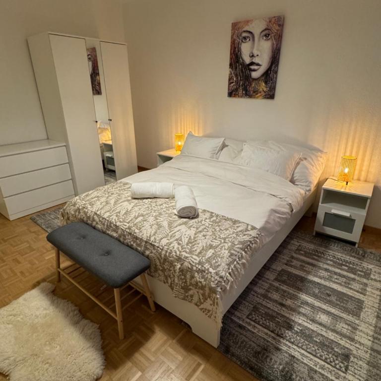 Amazing location Geneva , Eauv-Vives - Appartement 2 Chambres - 9