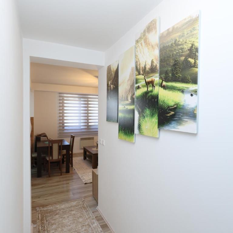 Aber Apartmani Kopaonik - Apartman sa 1 Spavaćom Sobom - 18