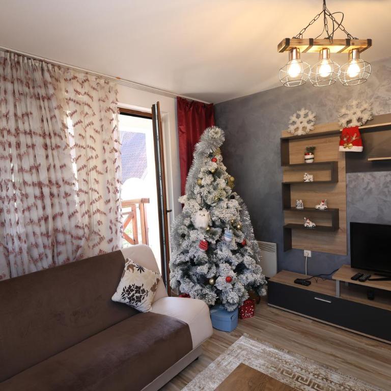 Aber Apartmani Kopaonik - Apartman sa 1 Spavaćom Sobom - 23