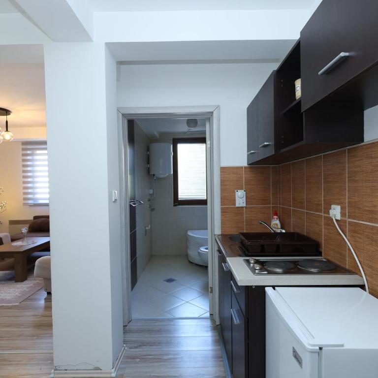 Aber Apartmani Kopaonik - Apartman sa Terasom - 15