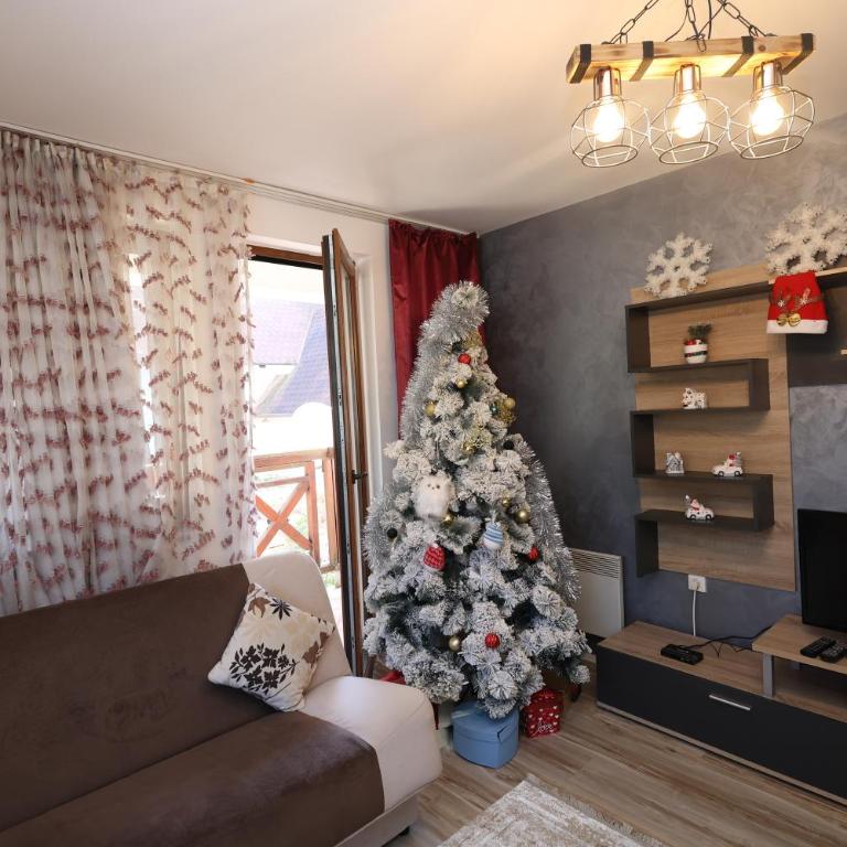 Aber Apartmani Kopaonik - Apartman sa 1 Spavaćom Sobom - 25