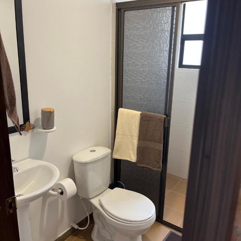 La Violeta - Apartamento de 2 dormitorios - 11