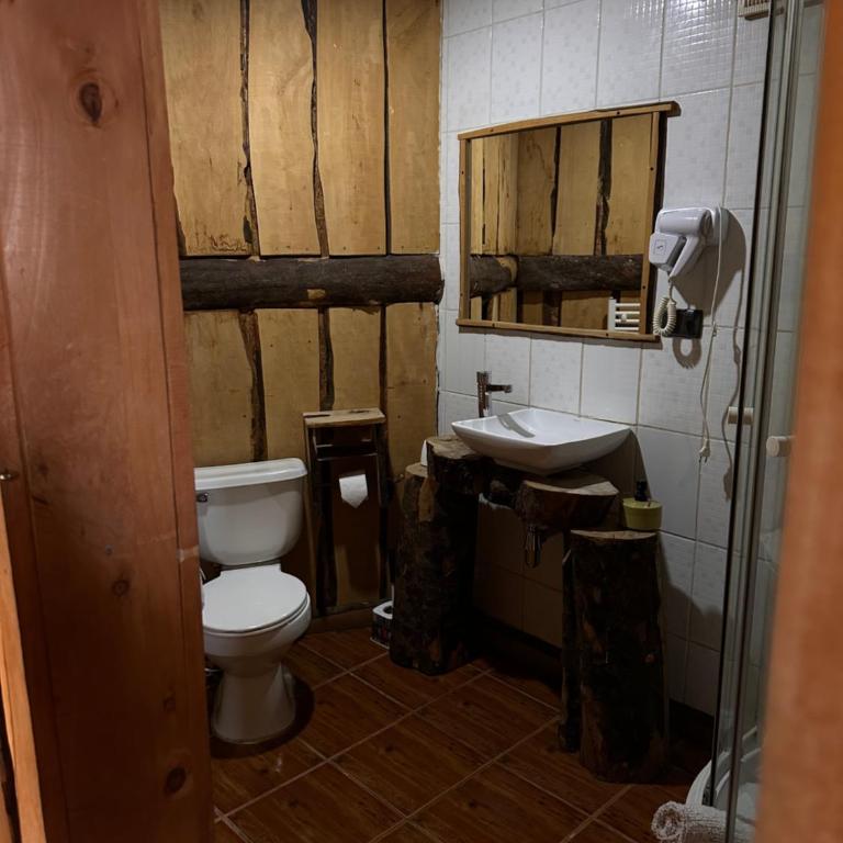 Cabañas Pewma Futrono - Casa con 1 dormitorio - 11