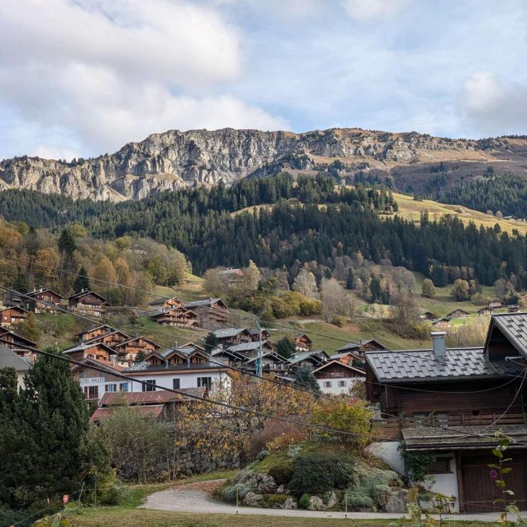 Appartement 2 chambres, 5 pers., cœur de village avec parking - FR-1-342-323 - Chalet - 8