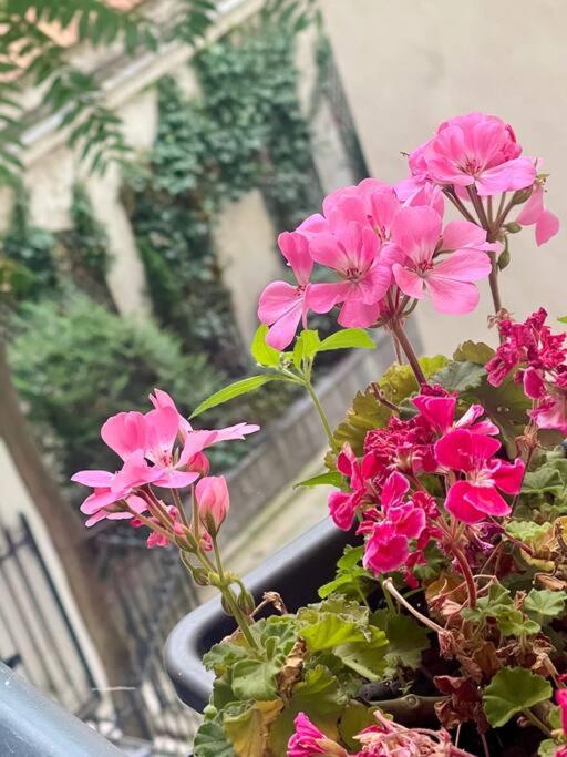 Elégant 4 pièces au coeur du Paris artiste - Appartement 2 Chambres - 19