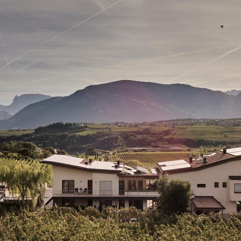 Weingut Klaus Lentsch - Appartamento con 1 Camera da Letto con Vista - 2