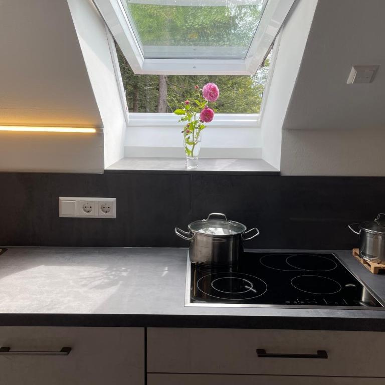 Ferienwohnung Unsere Mühle - Studio mit Terrasse - 21