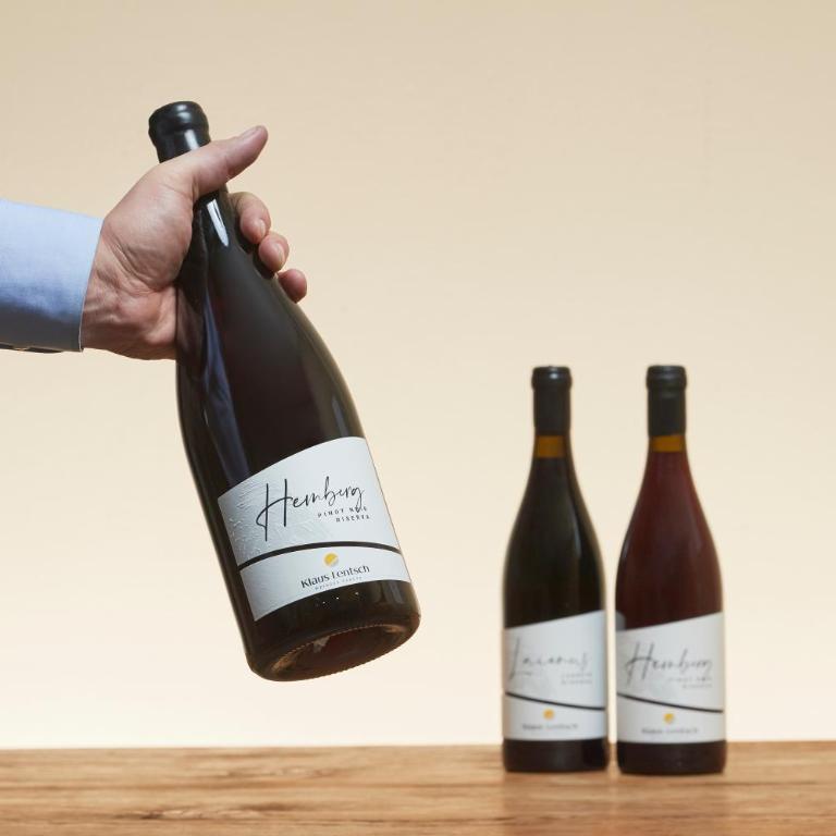 Weingut Klaus Lentsch - Appartamento con 1 Camera da Letto con Vista - 32