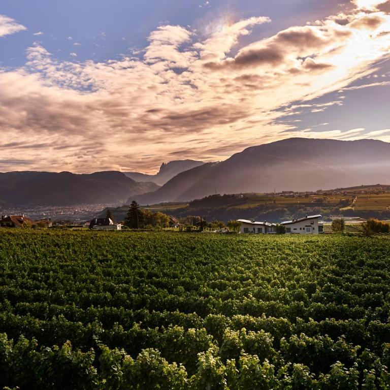 Weingut Klaus Lentsch - Appartamento con 1 Camera da Letto con Vista - 7