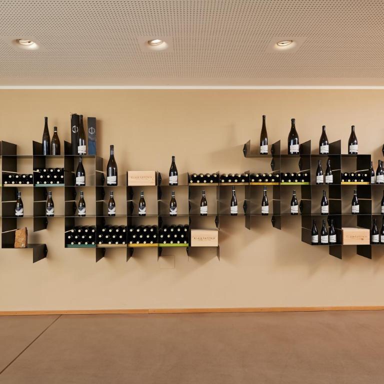 Weingut Klaus Lentsch - Appartamento con 1 Camera da Letto con Vista - 25
