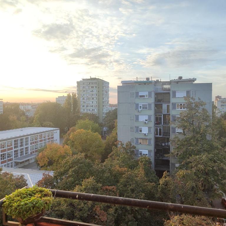 Apartman Toplina Novi Beograd - Apartman sa 1 Spavaćom Sobom - 11