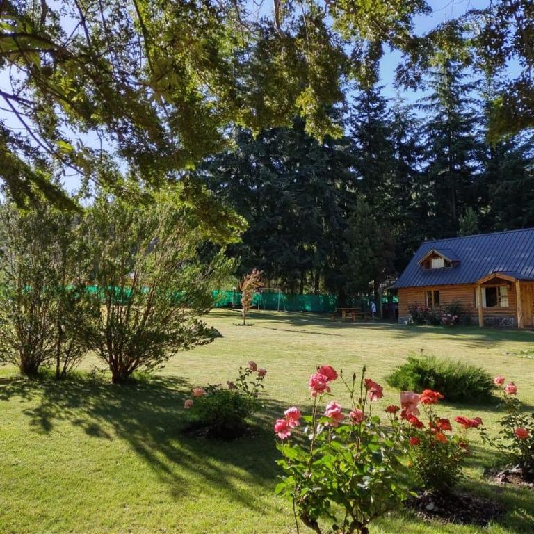 Natur Haus - Bungalow de 2 dormitorios - 5