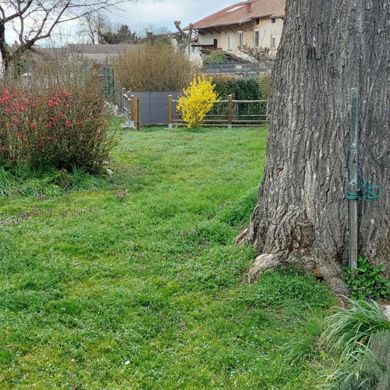 Les Copains d'Abord - Maison 2 Chambres - 46